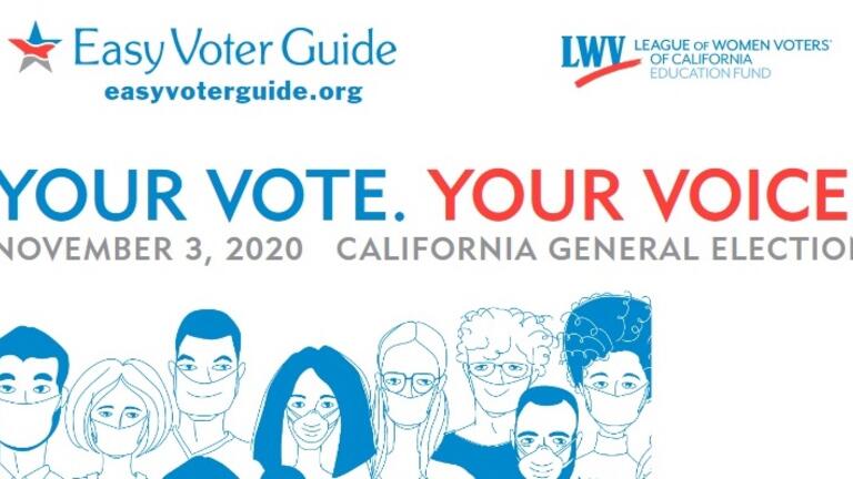 Easy Voter Guide image