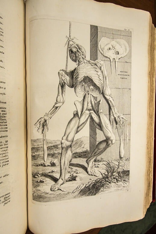 Andreas Vesalius Opera Omnia Anatomica & Chirurgica 1725. This beautiful 2-volume set, bound in red velvet, contains the full works of the father of modern human anatomy