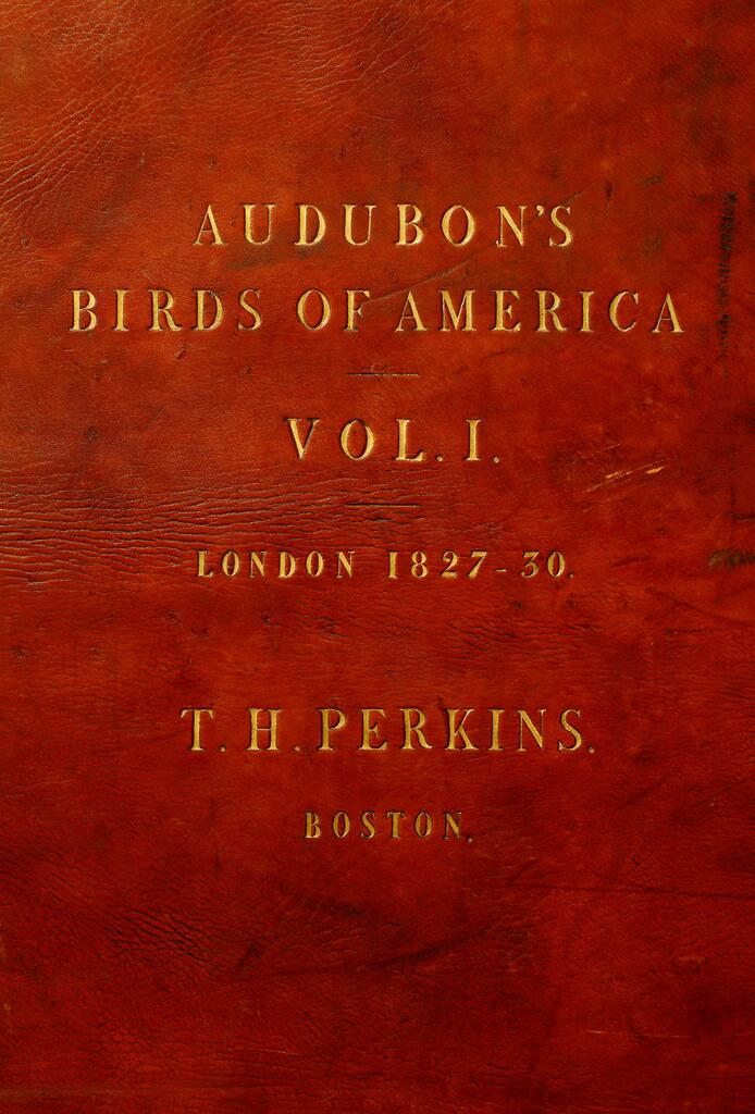 Audubon cover Vol 1