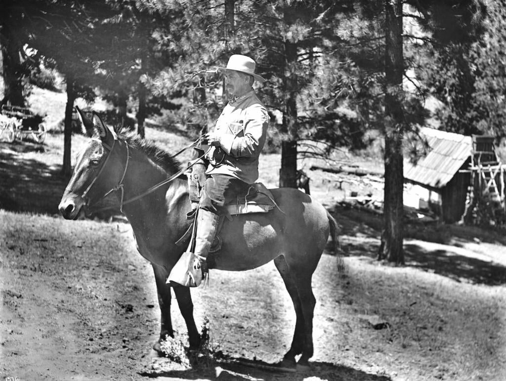 A mounted forest ranger, circa 1900. The insignia on his collar reads "S.G.R." for "San Gabriel Reserve." Photo from the California Historical Society Collection in the USC Digital Library.