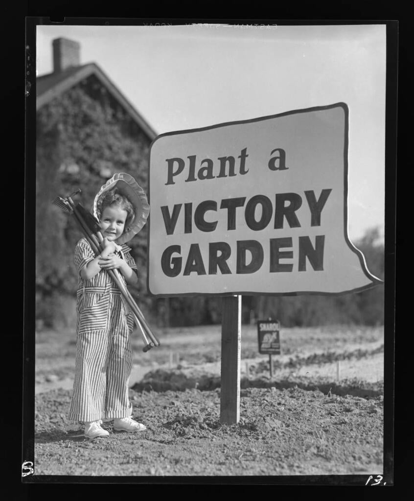 Victory gardens in Southern California, 1942-43