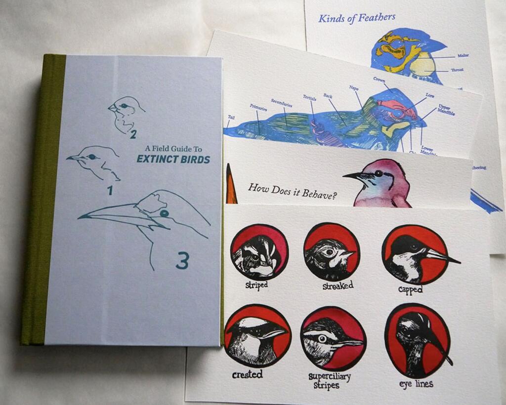 Sarah Nicholls A Field Guide to Extinct Birds, 2015